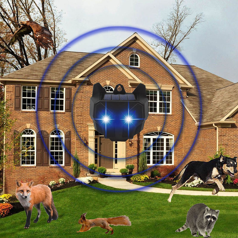 Solar Powered Red LED Lights Cockroach Trap and Raccoon Deterrent for Home Perimeter