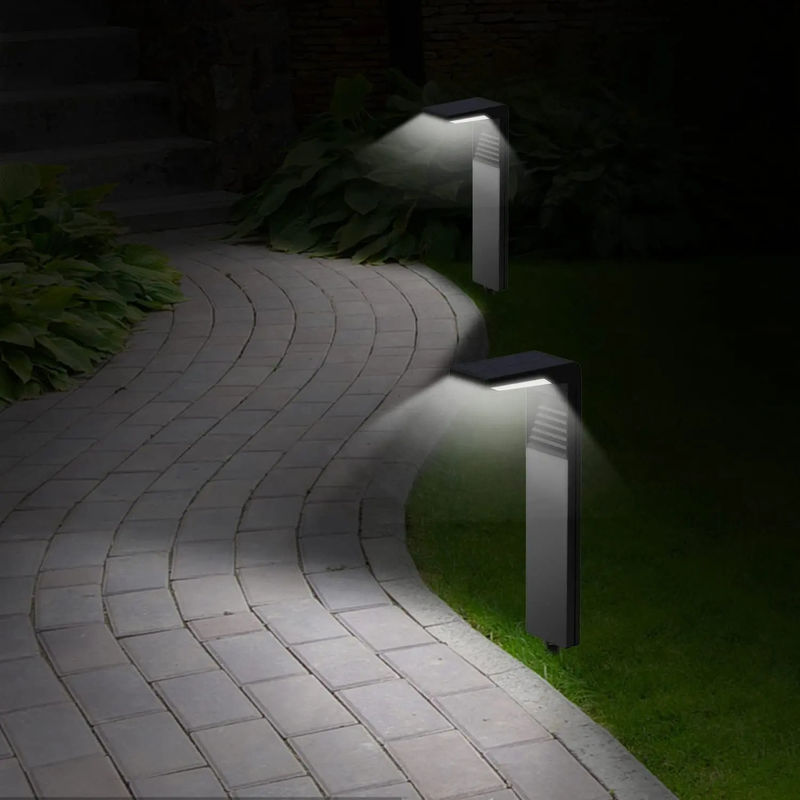 IP65 Waterproof Solar Energy Light for Outdoor Lighting and Beautiful Decoration