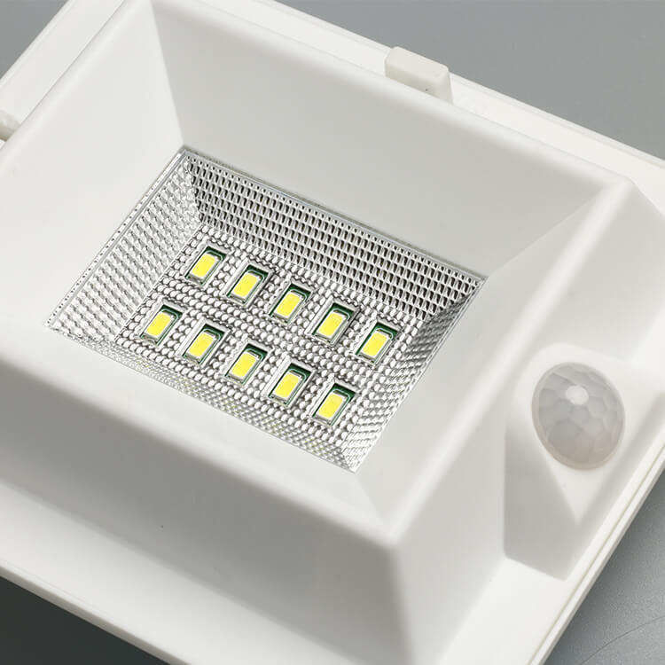 Outdoor Wall Mounted Solar Garden Light with PIR Motion Sensor and 300lm Luminous Flux