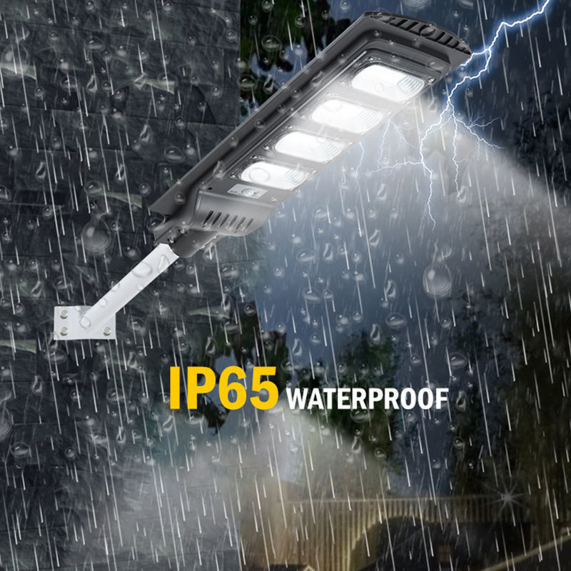 50-300W High Lumen Induction Power Solar Street Lamps for Road and Garden Lighting